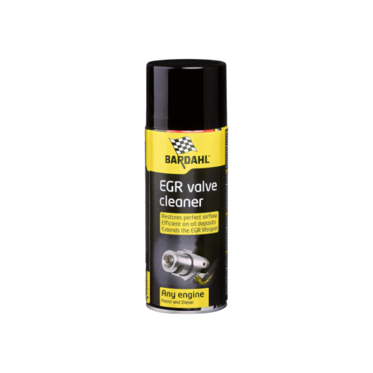 EGR  VALVE  CLEANER Pulitore valvole EGR