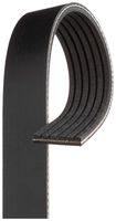 6PK2528 CINGHIA POLI-V GATES                    