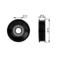 T38030 TENDICINGHIA CINGHIA POLI-V GATES IDLER    