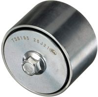 T36195 FLEETRUNNER CINGHIA POLI-V GATES IDLER   