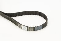 Timing Belt