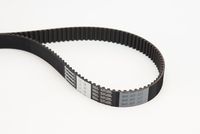 Timing Belt